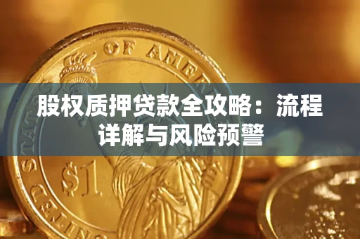 北京股权质押贷款全攻略：流程详解与风险预警
