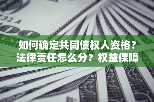 北京如何确定共同债权人资格？法律责任怎么分？权益保障技巧揭秘！