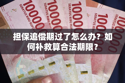 北京担保追偿期过了怎么办？如何补救算合法期限？